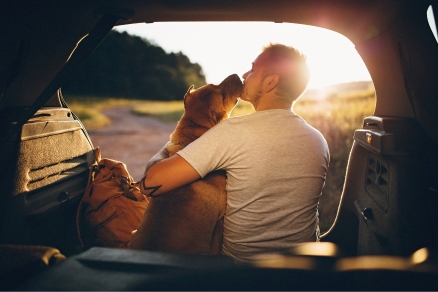 Man and dog in back of car