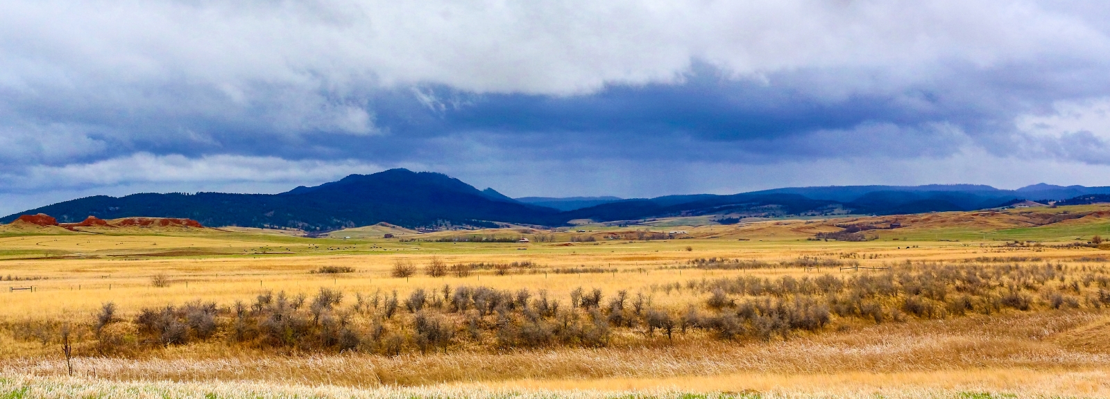 Wyoming Prairie 