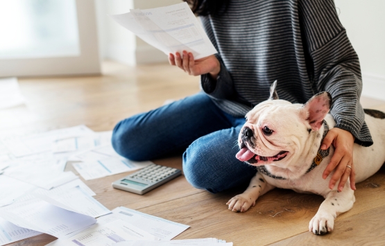 happy puppy surrounded by papers