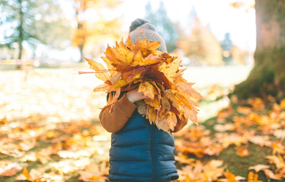 kid  holding fall leaves