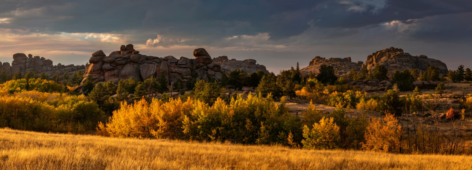 Wyoming Rocks