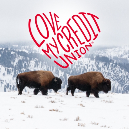 Two Buffalo with love my credit union rewards WyHy